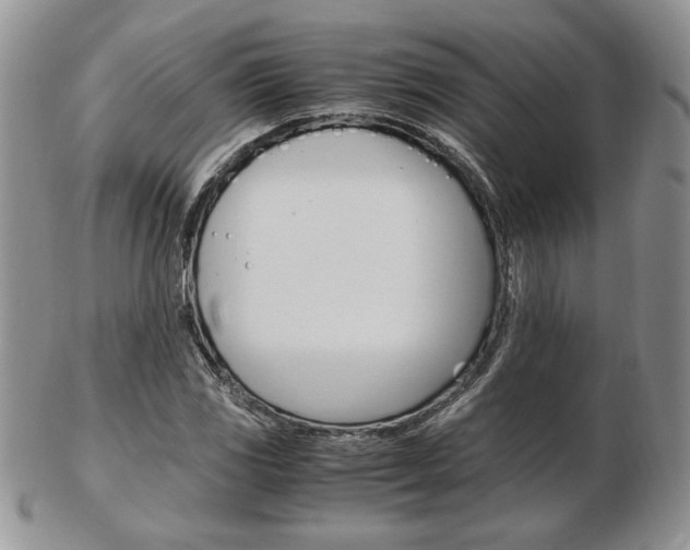 X0000103131117200808221035