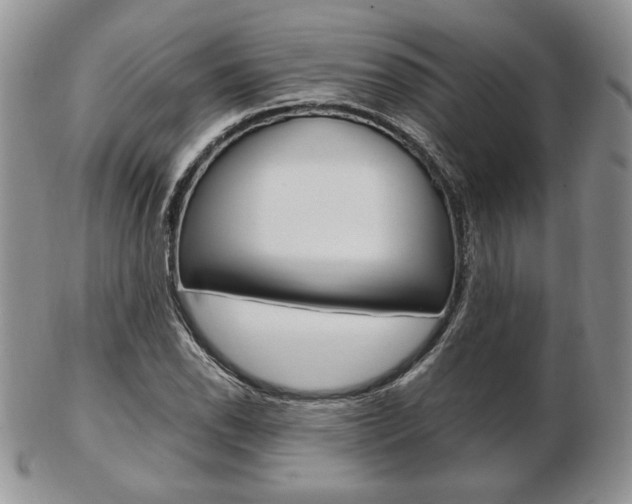 X0000103131118200808221035