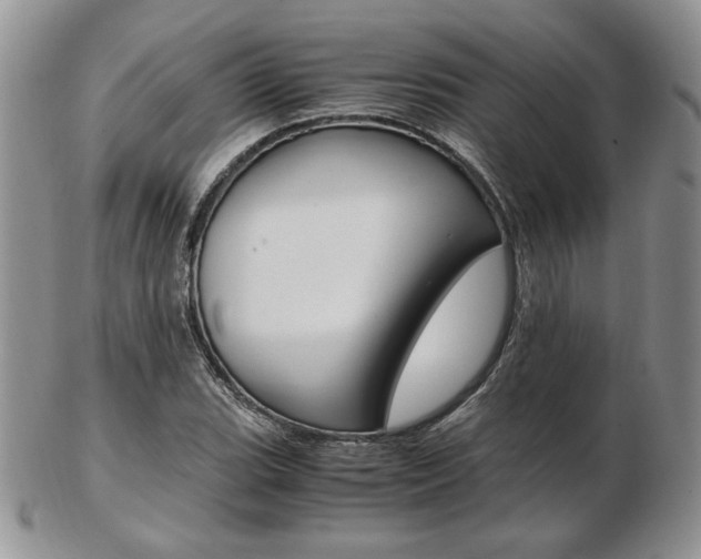 X0000103131119200808221035