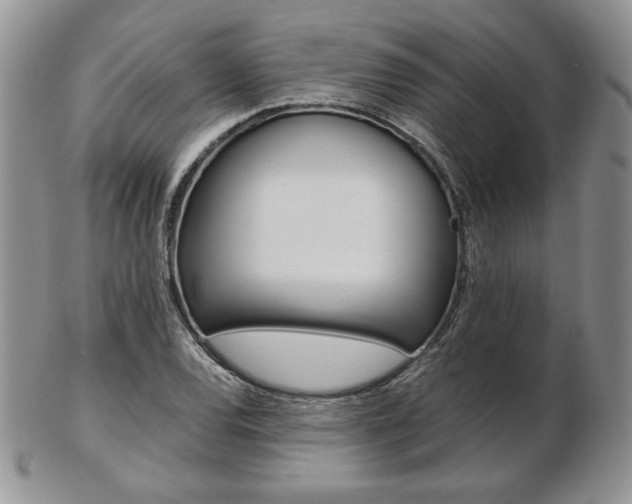 X0000103131120200808221035