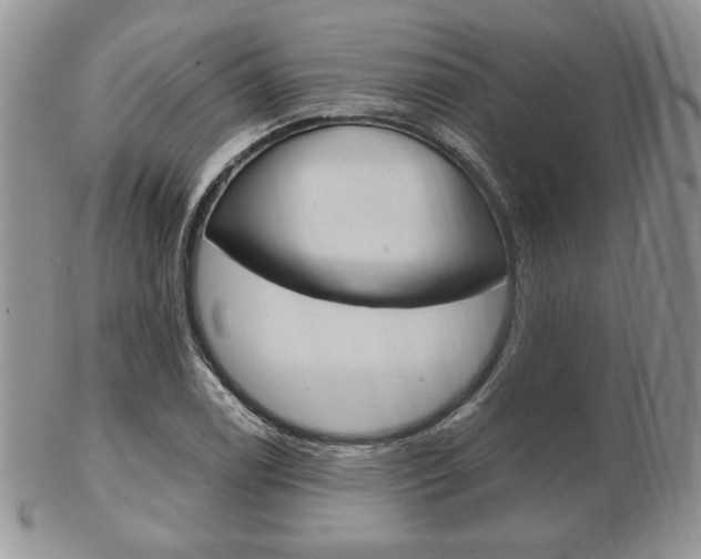 X0000103131122200808221035