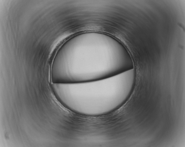 X0000103131123200808221035
