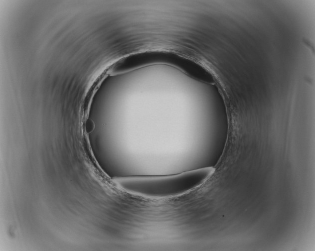 X0000103131124200808221035