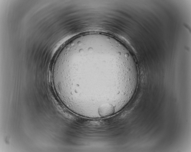 X0000103131125200808221035