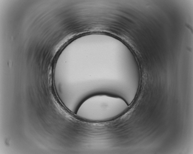 X0000103131126200808221035