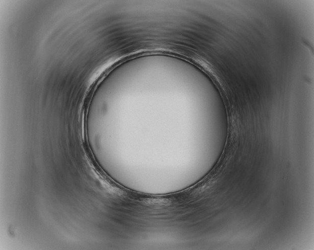 X0000103131127200808221035
