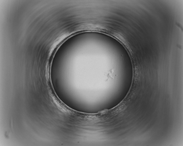 X0000103131128200808221035