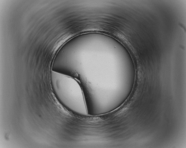 X0000103131129200808221035
