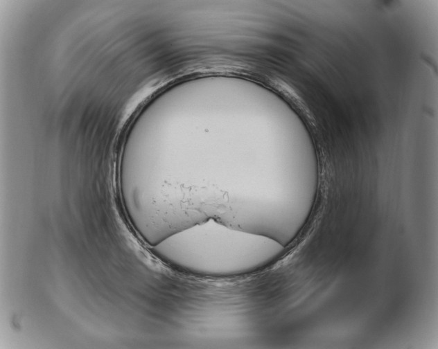 X0000103131130200808221035