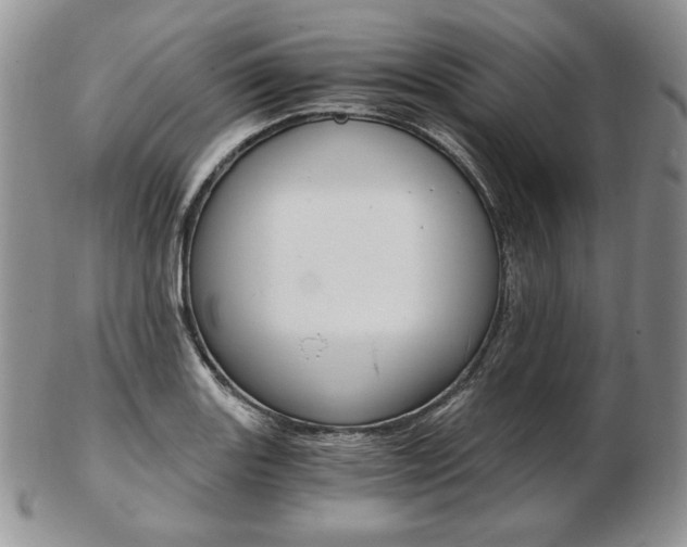 X0000103131131200808221035