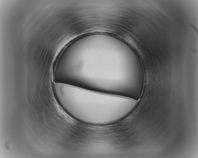 X0000103131132200808221035