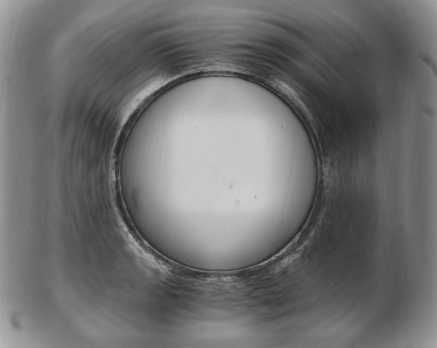 X0000103131133200808221035