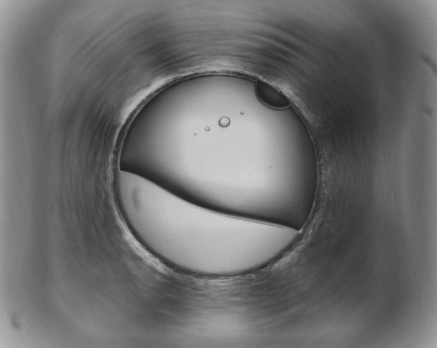 X0000103131134200808221035