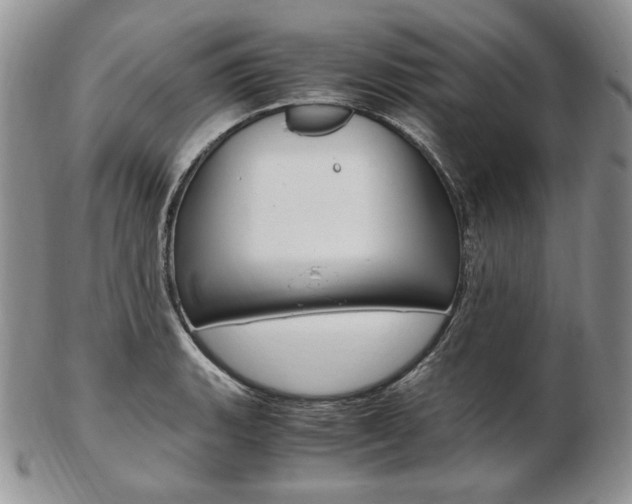 X0000103131135200808221035