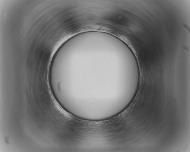 X0000103131136200808221035