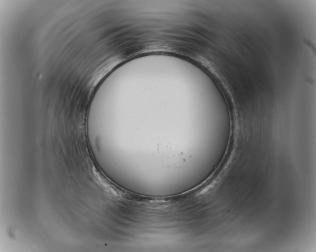 X0000103131137200808221035