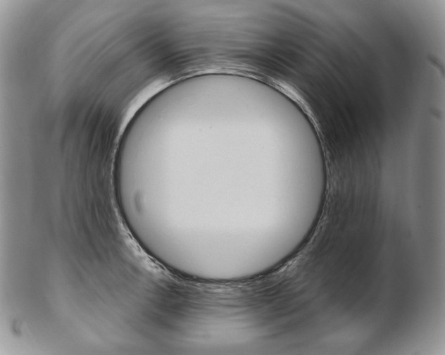 X0000103131138200808221035