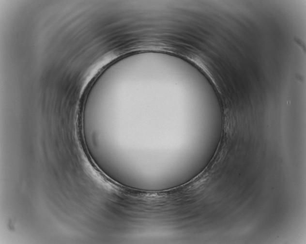 X0000103131139200808221035