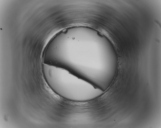 X0000103131140200808221035
