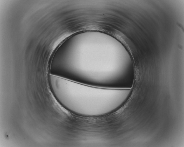 X0000103131141200808221035