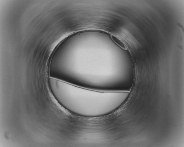 X0000103131142200808221035
