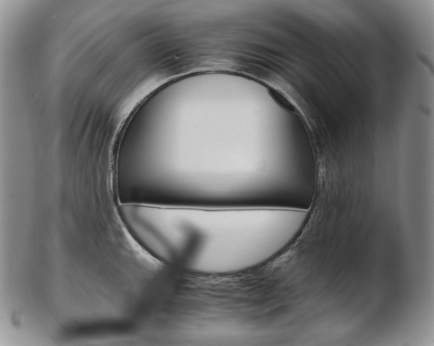 X0000103131143200808221035