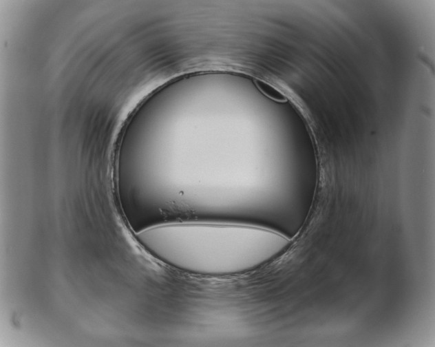 X0000103131144200808221035
