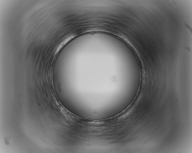X0000103131145200808221035