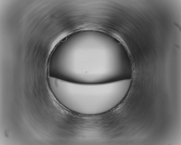 X0000103131146200808221035