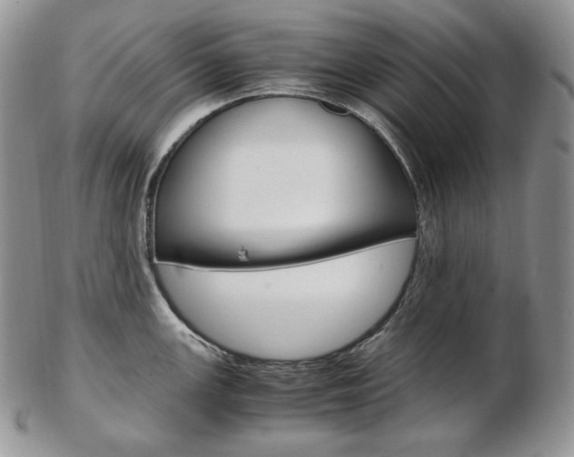 X0000103131147200808221035