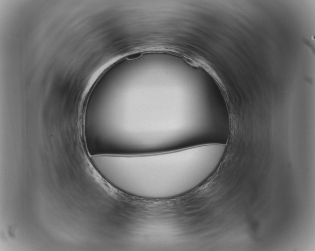 X0000103131148200808221035