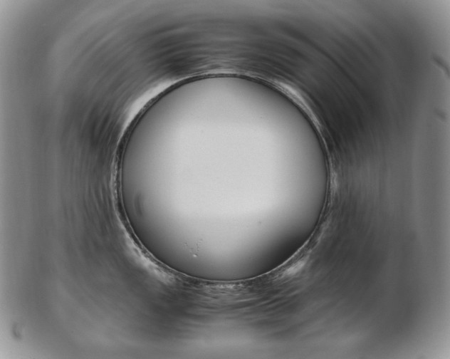 X0000103131149200808221035