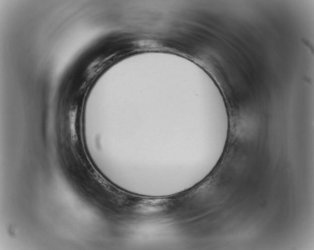 X0000103131150200808221035