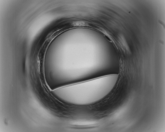 X0000103131151200808221035