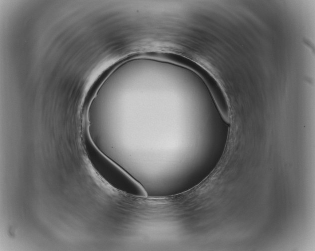X0000103131152200808221035