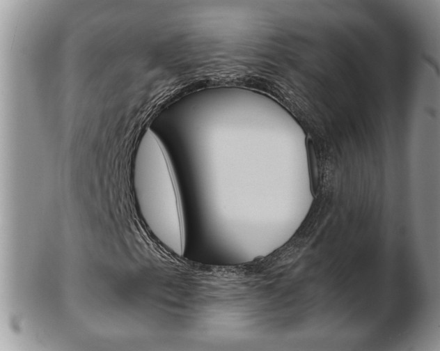 X0000103131153200808221035