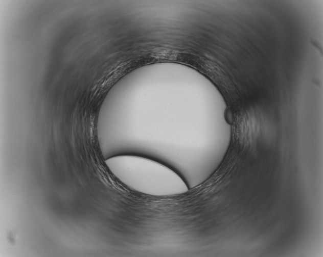 X0000103131154200808221035