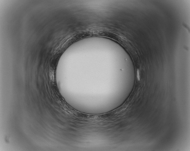 X0000103131155200808221035