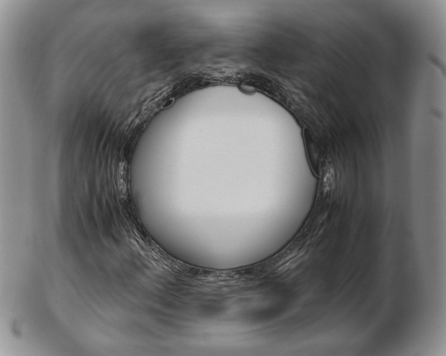 X0000103131156200808221035