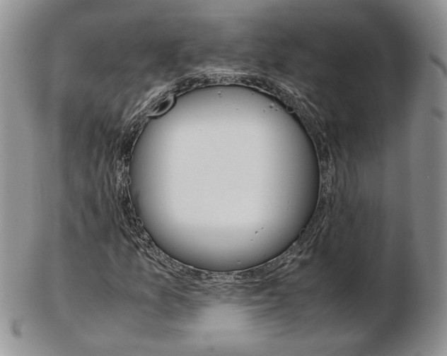 X0000103131157200808221035
