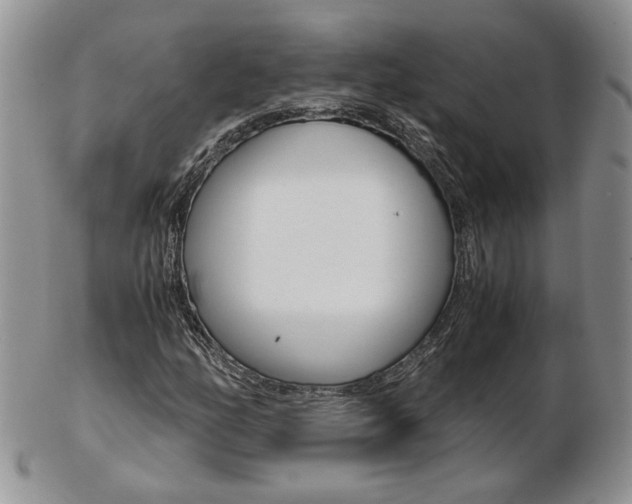X0000103131158200808221035