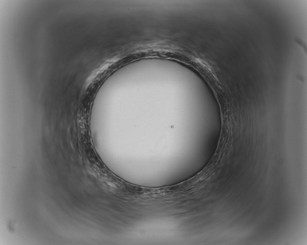 X0000103131159200808221035