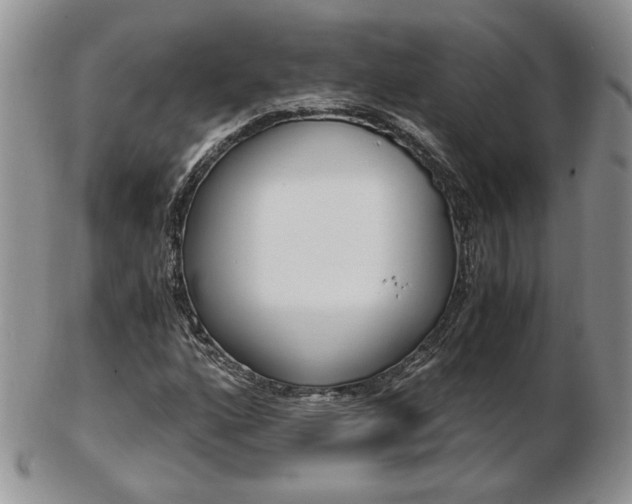 X0000103131160200808221035