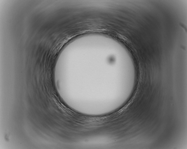 X0000103131161200808221035