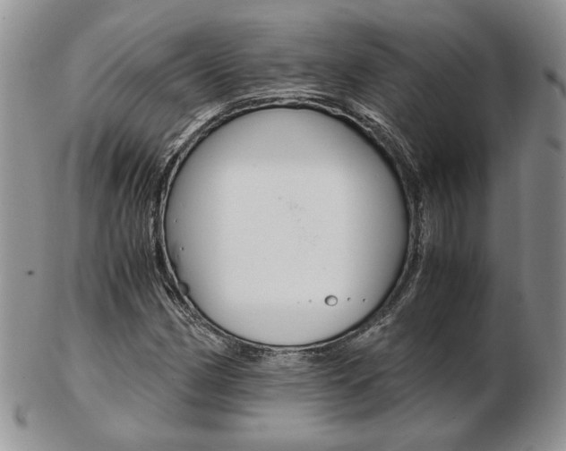 X0000103131162200808221035