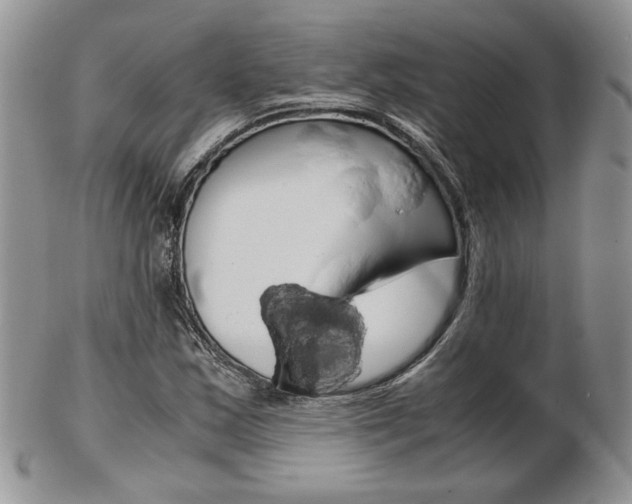 X0000103131163200808221035