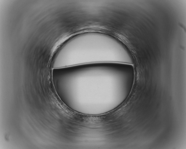 X0000103131164200808221035