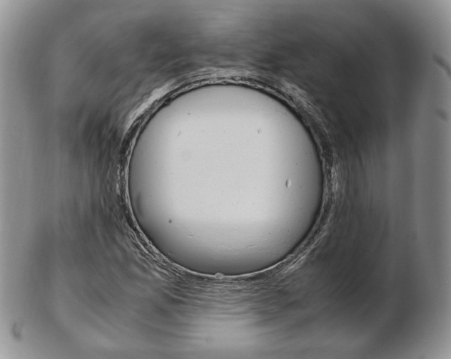 X0000103131165200808221035