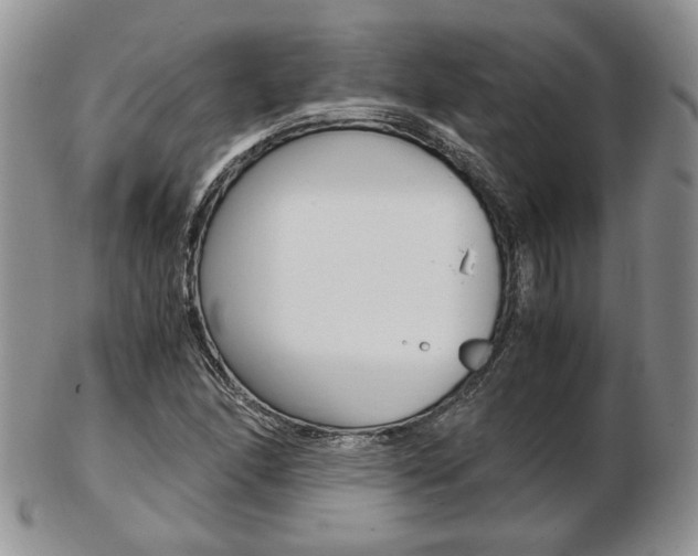 X0000103131166200808221035
