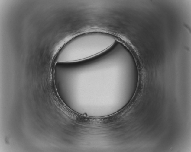 X0000103131167200808221035